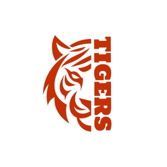 School Tigers 03 Thumbnail