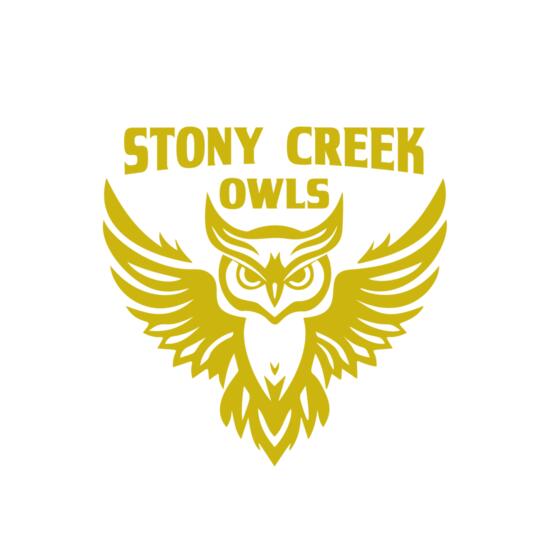 School Owls 04 Thumbnail