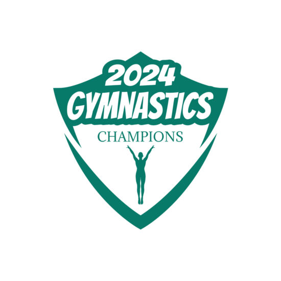 Gymnastics 20 Thumbnail