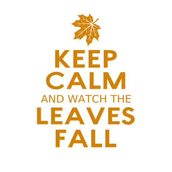 Fall Season 04 Thumbnail