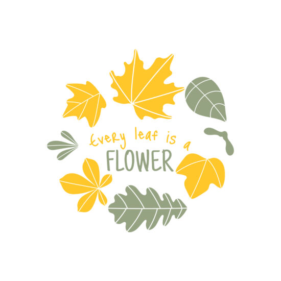 Fall Season 13 Thumbnail