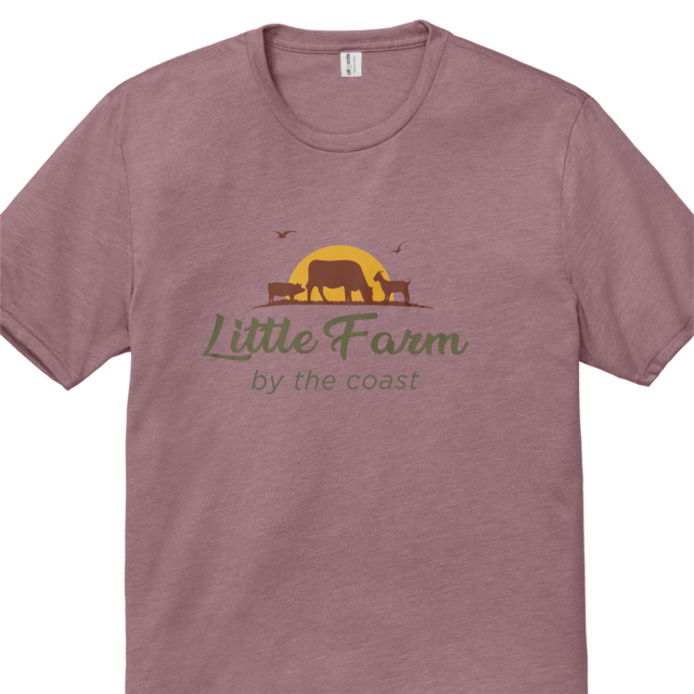 Tshirt with a printed designs on the front