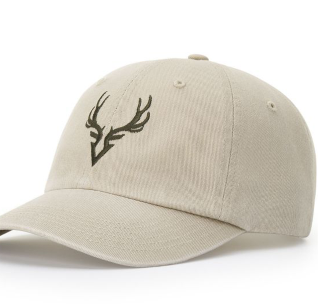 A Dad Cap with embroidered logo