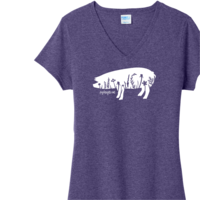 Custom printed ladies shirts made in the USA