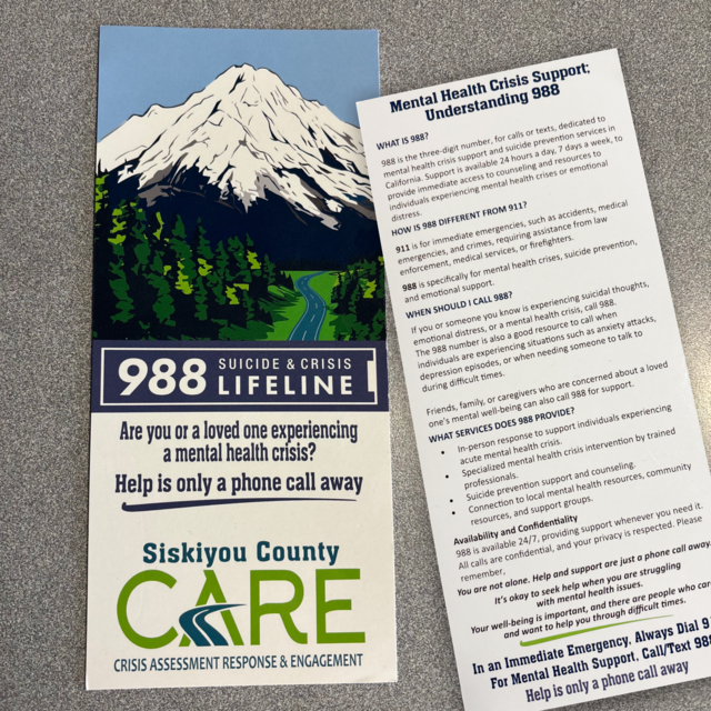 Custom printed informational rack cards for businesses and organizations
