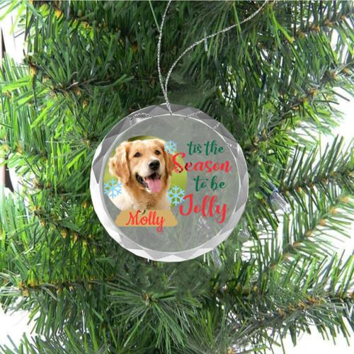 Snow Globe Photo Ornament  Thumbnail