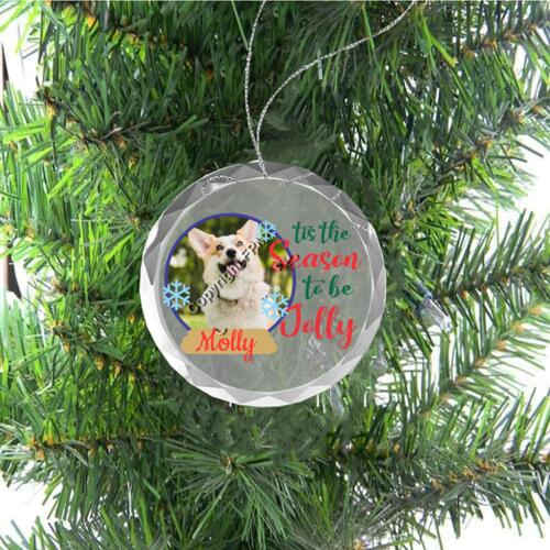 Snow Globe Photo Ornament  Thumbnail