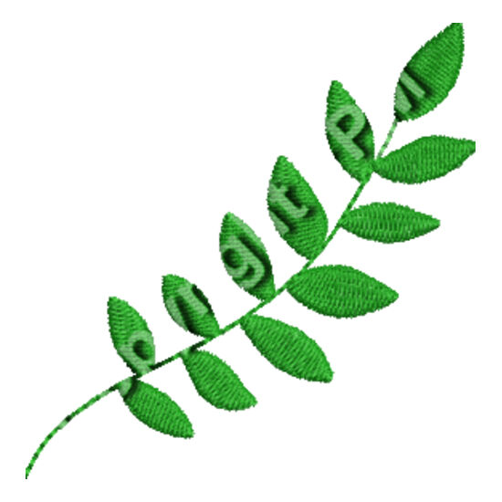 Branch_EMB1635 Thumbnail