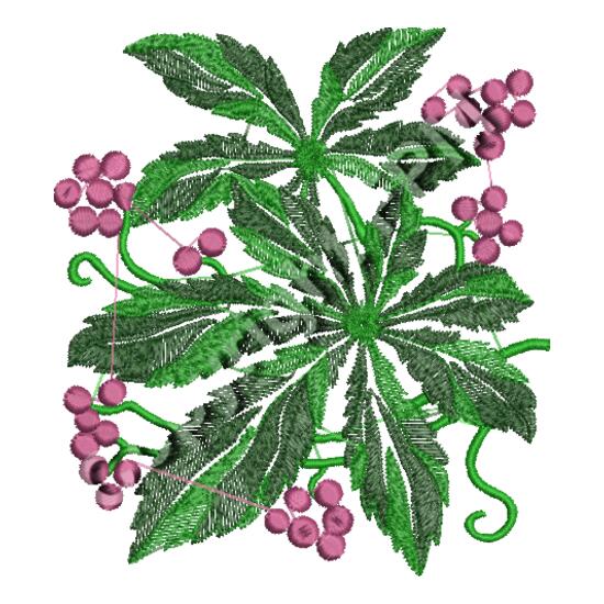 Grape_EMB1660 Thumbnail