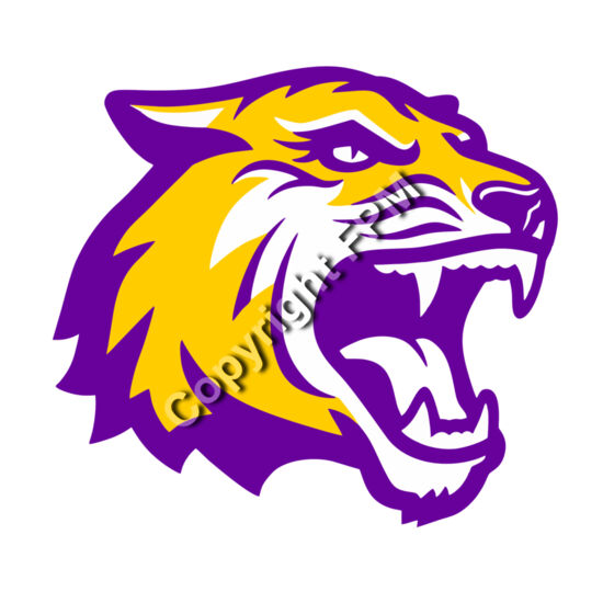 Tiger Head Thumbnail