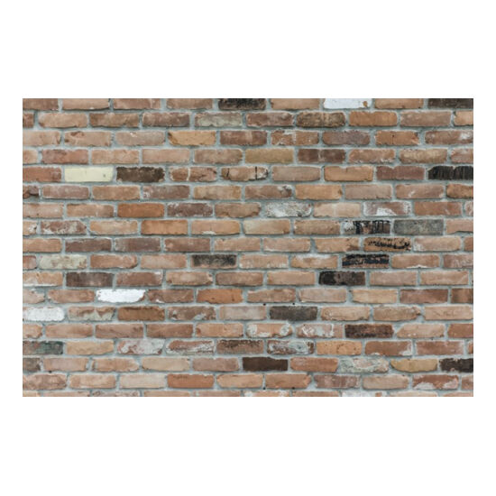 brick wall Thumbnail