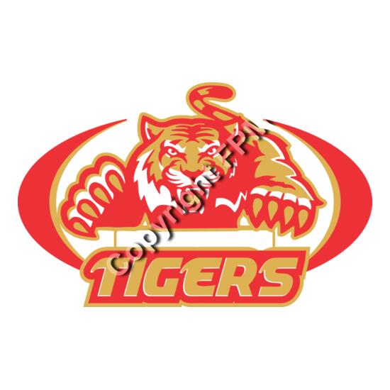 570 Tigers Thumbnail
