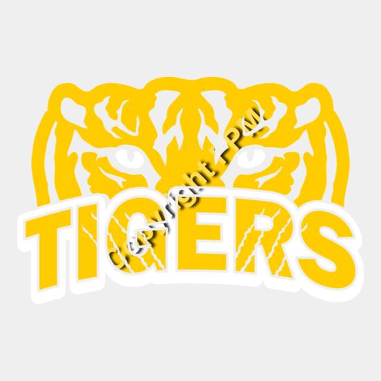 574 Tiger Eyes Thumbnail