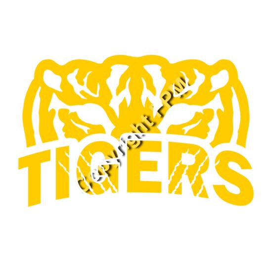 574 Tiger Eyes Thumbnail