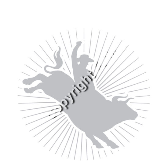 588 Bull Rider Thumbnail