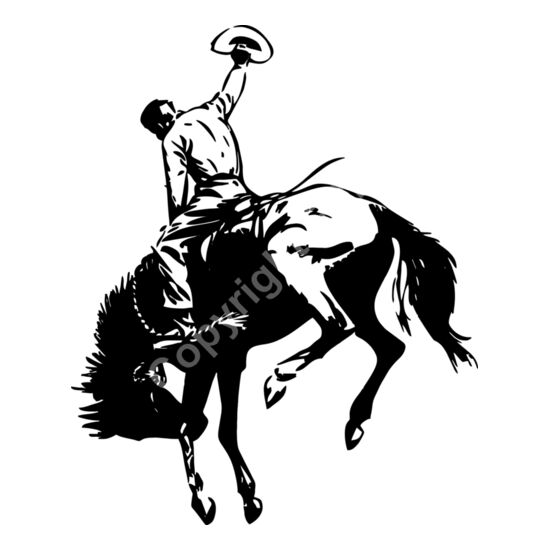 605 Rodeo Cowboy Thumbnail