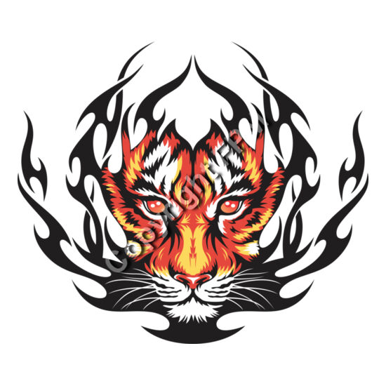 665 Tiger Face Thumbnail