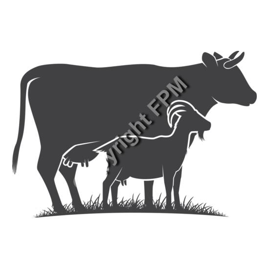 676 Cow and goat Thumbnail