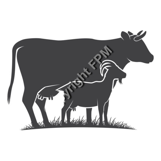 676 Cow and goat Thumbnail