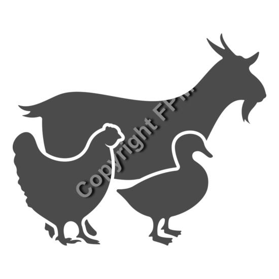 680 Farm Animals Thumbnail