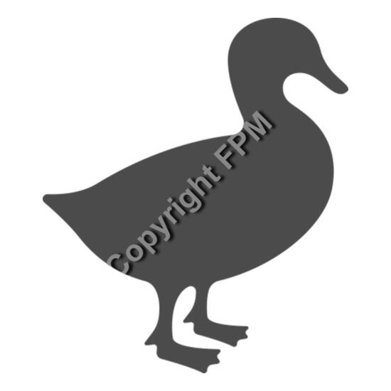 681 Duck Thumbnail
