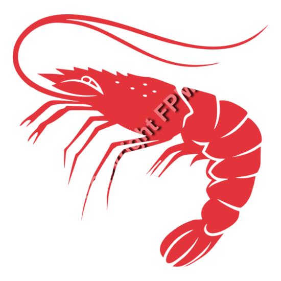 929 Shrimp Thumbnail