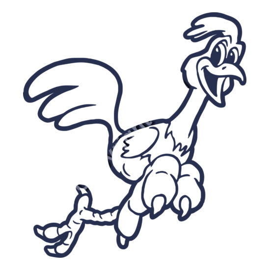 969 Roadrunnr Thumbnail