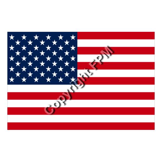 922 American Flag Thumbnail