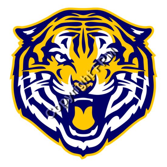 1013 Tiger Thumbnail