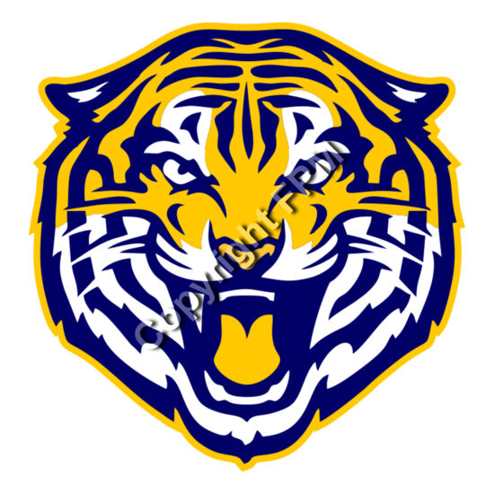 1013 Tiger Thumbnail