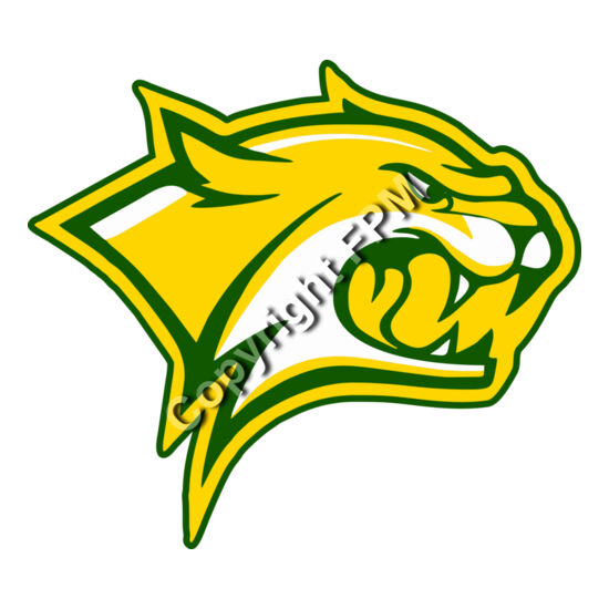 964 Wildcat Thumbnail