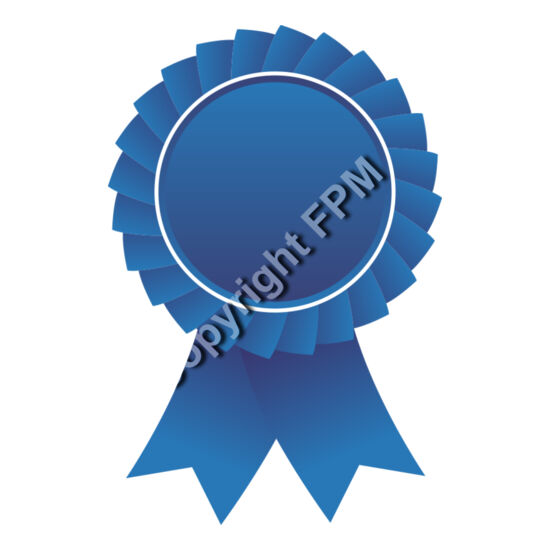 627 Blue Ribbon Thumbnail