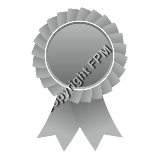 629 Silver Ribbon Thumbnail