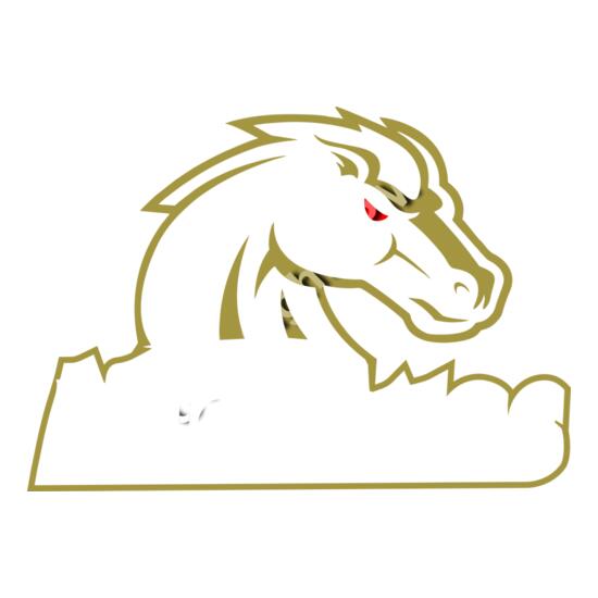 997 Mustangs Thumbnail