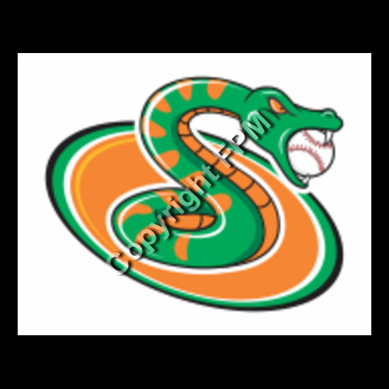 675 Snake Soccer Thumbnail