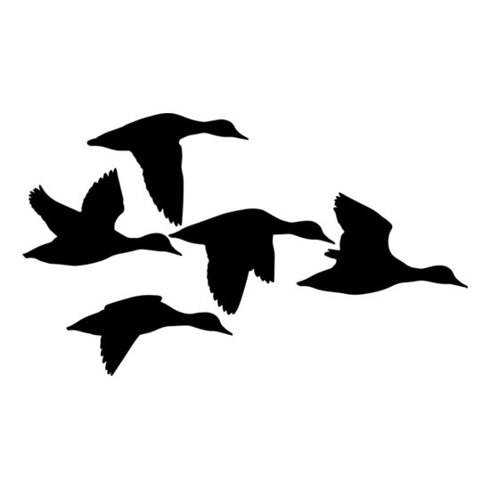 1063 Ducks Thumbnail