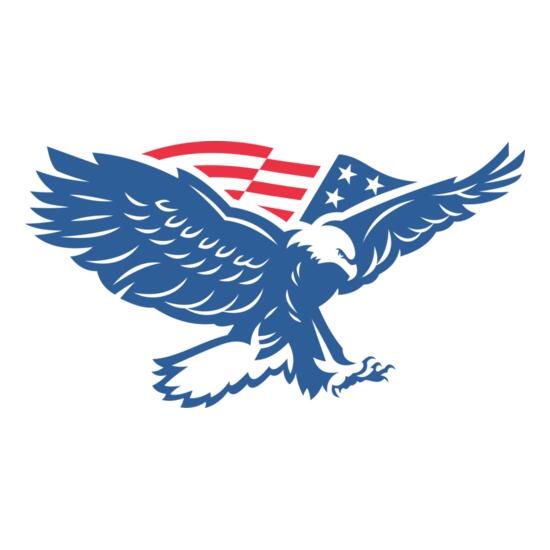 1228 American Eagle Thumbnail