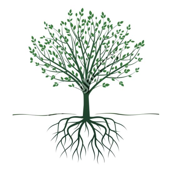 1254 Tree with Roots Thumbnail