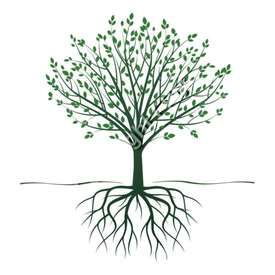 1254 Tree with Roots Thumbnail