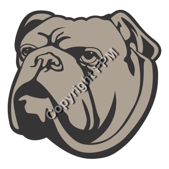 1309 Bulldog Thumbnail