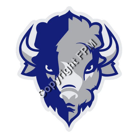 1311 Bison Thumbnail