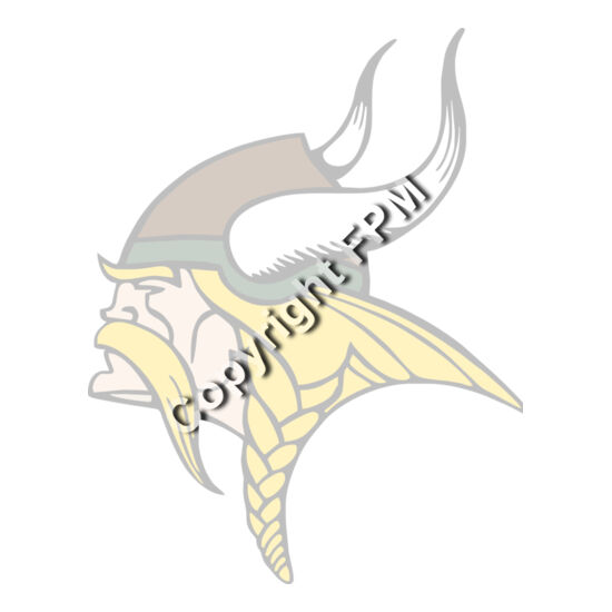 994 Viking Thumbnail