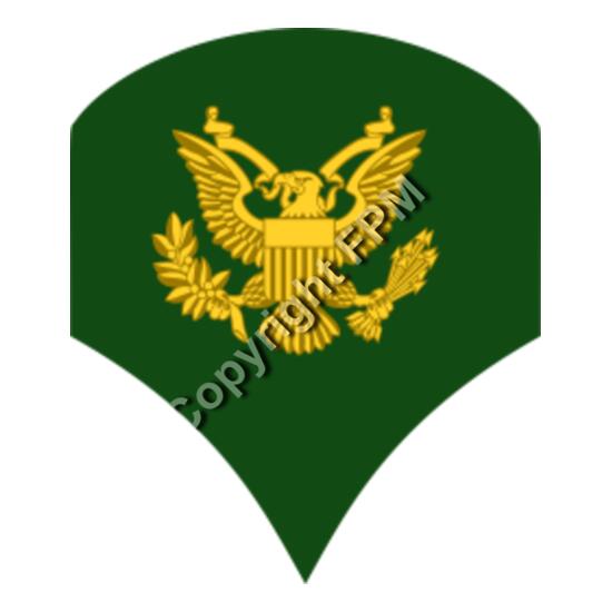 203 Specialist Thumbnail