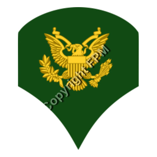 203 Specialist Thumbnail