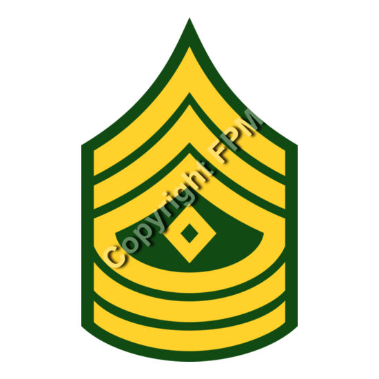 207 First Sergeant Thumbnail