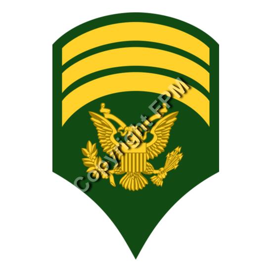 213 Specialist Thumbnail