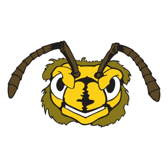 109 Bee Face Thumbnail