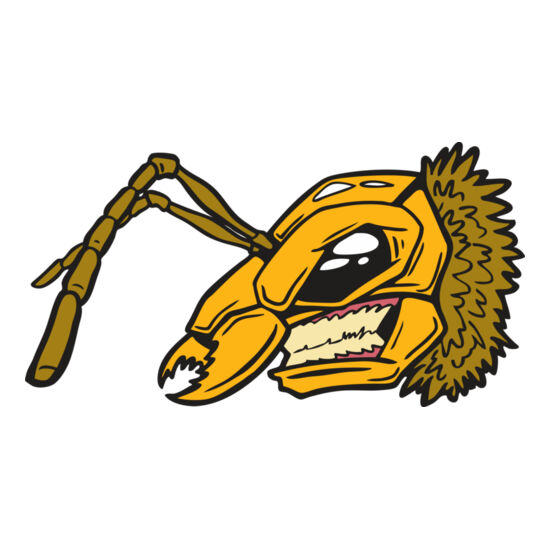 110 Bee Face Thumbnail