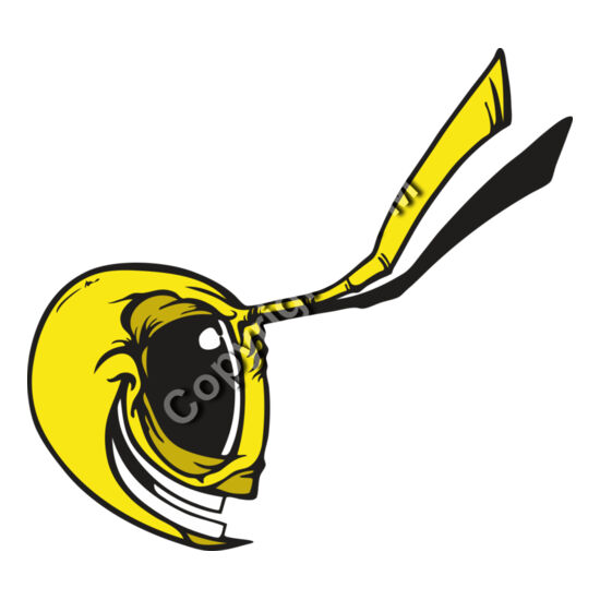 111 Bee Face Thumbnail