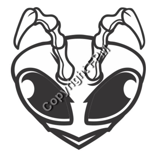 139 Bee Head Thumbnail